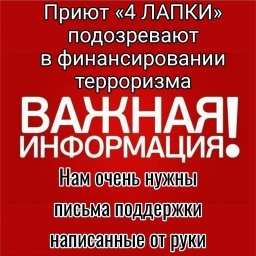 СБЕРБАНК подозревает приют "4 лапки" в финансировании терроризма?