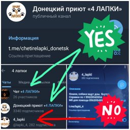 Внимание, появился канал "4 лапки" маскирующийся под наш канал и чат!